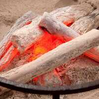 すべてのお席で紀州備長炭の炭火焼をお楽しみいただけます