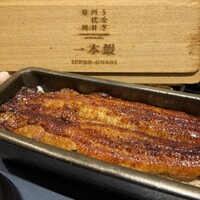 うなぎ四代目菊川 ヒルトンプラザウエスト大阪店 - 