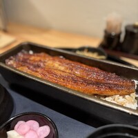 うなぎ四代目菊川 ヒルトンプラザウエスト大阪店 - 