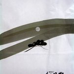 松月堂 - お店の紙袋
