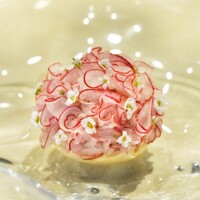 ノノカ レストラン - 