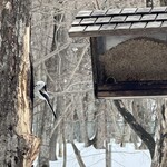 ザ バード ウォッチング カフェ - 