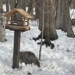 ザ バード ウォッチング カフェ - 