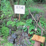 cafe たべりーね - 飲んでもいいのかな？