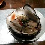 魚雑葉 - 岩牡蠣（生）