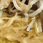 ラーメン専門 宮の森 - さらにアップ