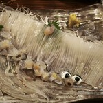 大衆居酒屋魚さんこ - 活ヤリイカ刺身特大 2980円 40cmはある大きさ！