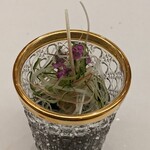 THE SUSHI NAGOYA 海 KAI - 