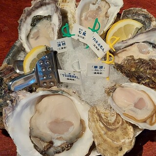 産直生牡蠣常時3種類以上岩牡蠣も入荷中