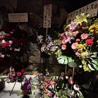 アマラントス - 