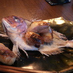 米倉 - 2014.7　サービス品　鯛の赤飯鮨