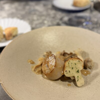 L'atelier de oto - 