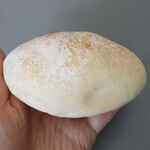 ダーシェンカ - プレミアムくりーむぱん