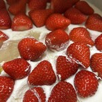HARBS - 