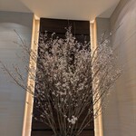 オールデイダイニング セリーズ - 