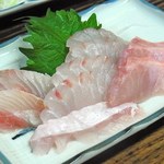 山城屋酒場 - かんぱち、金目鯛ひらめ