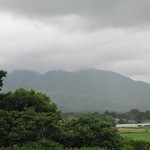 やさとブルーベリーファーム - 