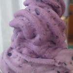 やさとブルーベリーファーム - 