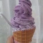 やさとブルーベリーファーム - 