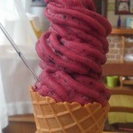 やさとブルーベリーファーム - 