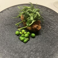 TACUBO - 