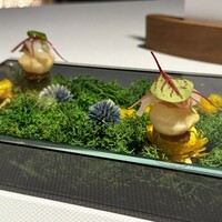 ブレストンコート ユカワタン - 