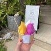 Ikemajima gelato cafe Ninufa