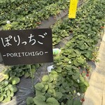 鈴木ファーム - 