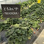 鈴木ファーム - 