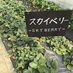 鈴木ファーム - 