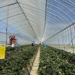 鈴木ファーム - 