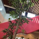 フラットホワイト コーヒー ファクトリー - 