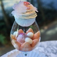 GENTLE Dining - 