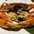 魚料理専門 魚魚一 - 料理写真:どうまんがに正面