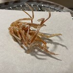 てんぷら ひら井 - 