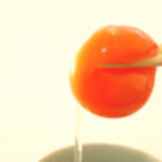 鳥焼処 鳥ぼん - 