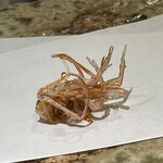 天冨來 ゆきむら - 