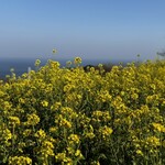 一夜城 ヨロイヅカ・ファーム - 