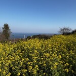 一夜城 ヨロイヅカ・ファーム - 