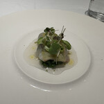 ピアッティ カステリーナ - 