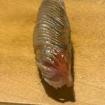 寿し おおはた - 