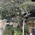 のれんと味 だるま料理店 - 