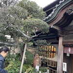 のれんと味 だるま料理店 - 