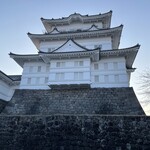 のれんと味 だるま料理店 - 