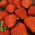 茂原市本納いちご生産組合 - みくのか