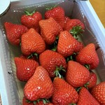 茂原市本納いちご生産組合 - みくのか