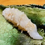 伊藤家のつぼ - アオリイカのエンベラ