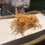 みかわ 是山居 - 