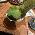 ボクのスタンド - 