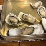 浜印水産 ハマ横丁店 - 